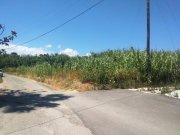 Maleme Kreta, Maleme: Schönes Grundstück in Strandnähe zu verkaufen Grundstück kaufen